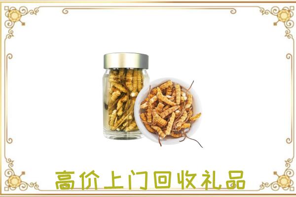 白山周边回收虫草